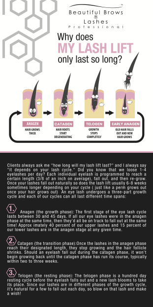 Lash Lift Duration Informational Flyers | Lash Lift Store - Distribution and Education.